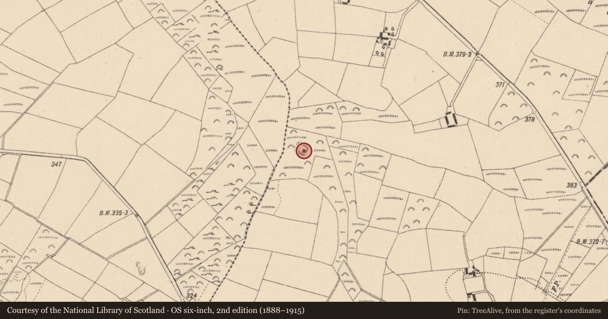 Ordnance Survey six-inch map, 2nd edition (1888–1915) covering the location of Moated site, Ballyconnell, County Wicklow, with a pin at the register's coordinates