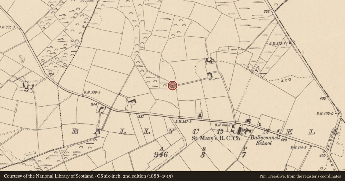 Ordnance Survey six-inch map, 2nd edition (1888–1915) covering the location of Enclosure, Ballyconnell, County Wicklow, with a pin at the register's coordinates