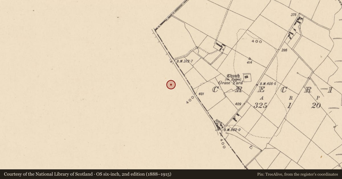 Ordnance Survey six-inch map, 2nd edition (1888–1915) covering the location of Cist, Ballyconnell, County Wicklow, with a pin at the register's coordinates