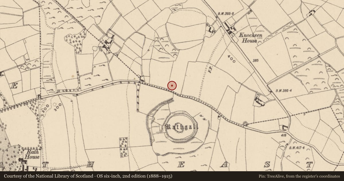 Ordnance Survey six-inch map, 2nd edition (1888–1915) covering the location of Enclosure, Knockeen, County Wicklow, with a pin at the register's coordinates