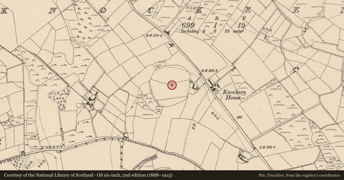 Ordnance Survey six-inch map, 2nd edition (1888–1915) covering the location of Hillfort, Knockeen, County Wicklow, with a pin at the register's coordinates