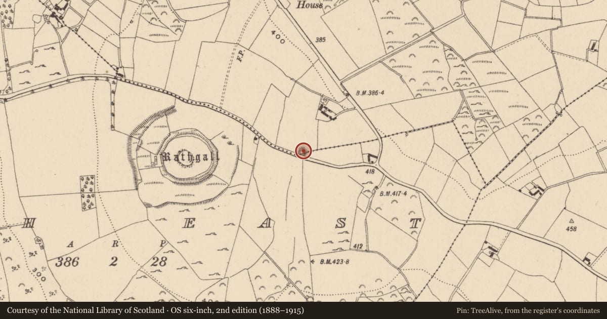 Ordnance Survey six-inch map, 2nd edition (1888–1915) covering the location of Enclosure, Knockeen, Rath East, County Wicklow, with a pin at the register's coordinates