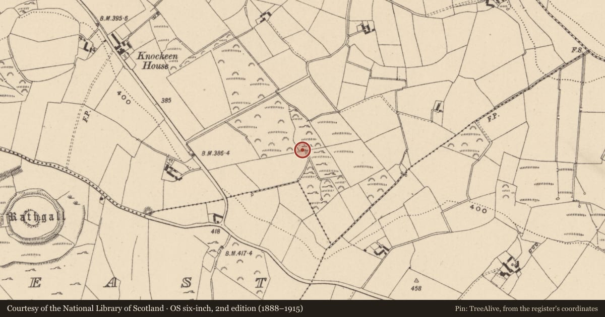 Ordnance Survey six-inch map, 2nd edition (1888–1915) covering the location of Enclosure, Knockeen, County Wicklow, with a pin at the register's coordinates