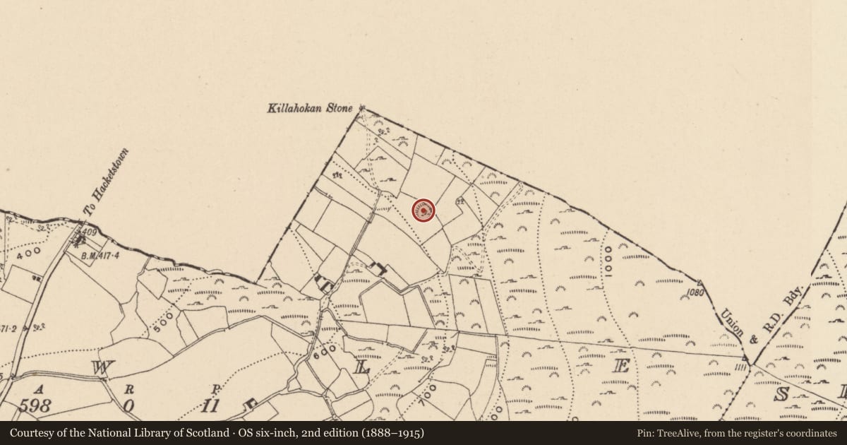 Ordnance Survey six-inch map, 2nd edition (1888–1915) covering the location of Ringfort - rath, Gowle, County Wicklow, with a pin at the register's coordinates
