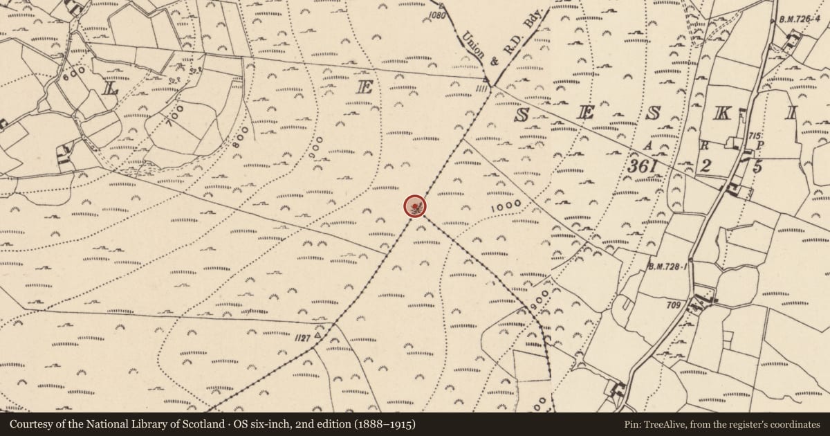 Ordnance Survey six-inch map, 2nd edition (1888–1915) covering the location of Enclosure, County Wicklow, with a pin at the register's coordinates