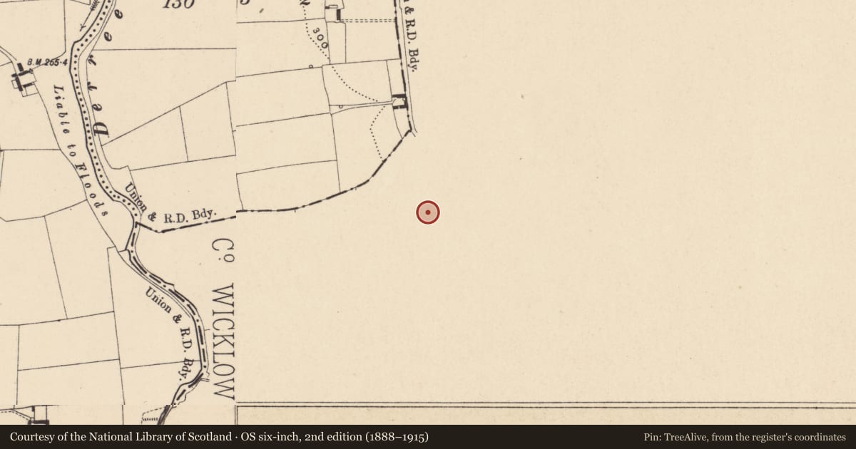 Ordnance Survey six-inch map, 2nd edition (1888–1915) covering the location of Enclosure, Ardoyne, County Wicklow, with a pin at the register's coordinates