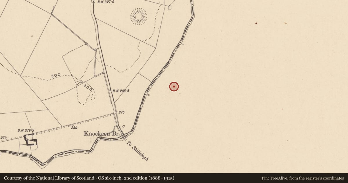 Ordnance Survey six-inch map, 2nd edition (1888–1915) covering the location of Ring-ditch, Liscolman, County Wicklow, with a pin at the register's coordinates