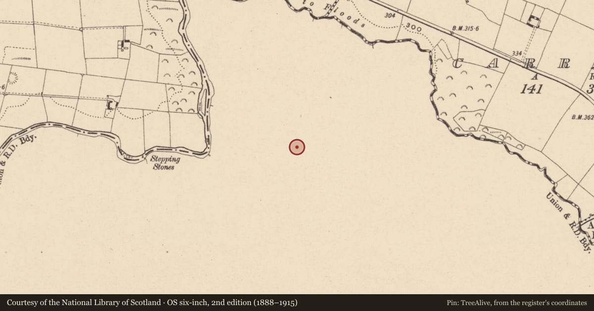 Ordnance Survey six-inch map, 2nd edition (1888–1915) covering the location of Burial mound, Liscolman, County Wicklow, with a pin at the register's coordinates