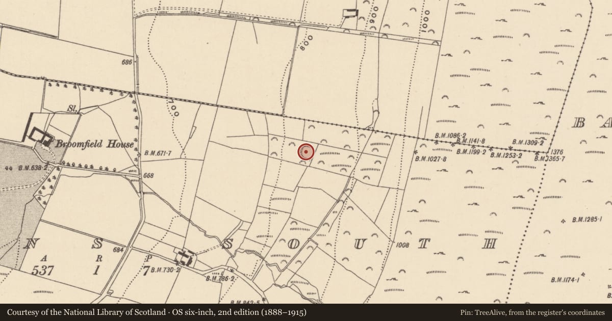 Ordnance Survey six-inch map, 2nd edition (1888–1915) covering the location of Ringfort - rath, Mullans South, County Wicklow, with a pin at the register's coordinates