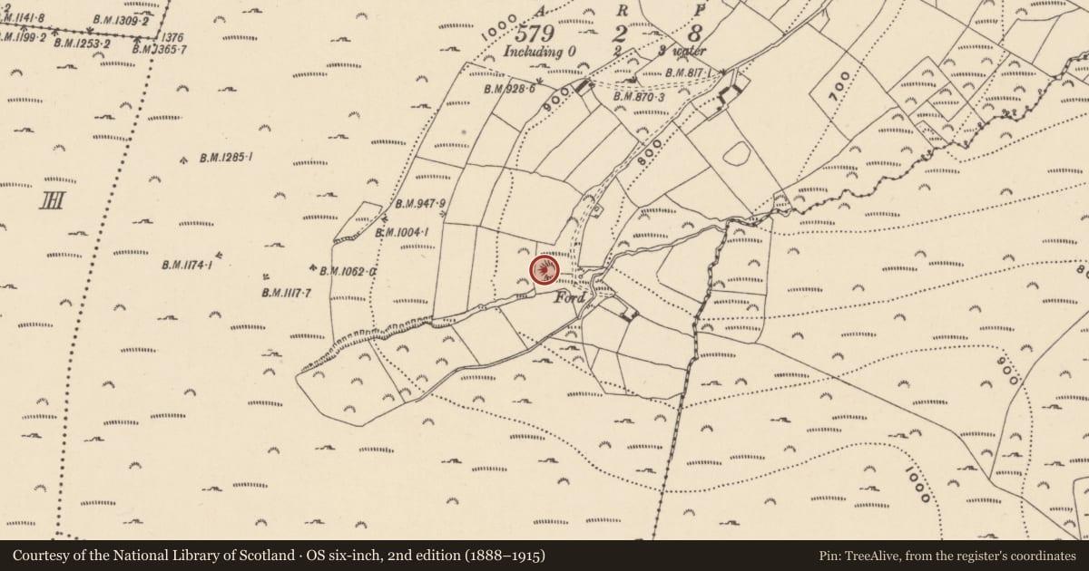 Ordnance Survey six-inch map, 2nd edition (1888–1915) covering the location of Ringfort - rath, Ballycumber South, County Wicklow, with a pin at the register's coordinates