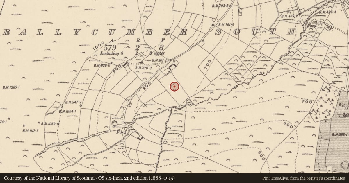 Ordnance Survey six-inch map, 2nd edition (1888–1915) covering the location of Ringfort - rath, Ballycumber South, County Wicklow, with a pin at the register's coordinates
