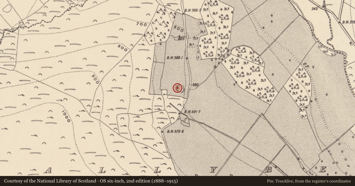 Ordnance Survey six-inch map, 2nd edition (1888–1915) covering the location of Ringfort - rath, Ballybeg, County Wicklow, with a pin at the register's coordinates