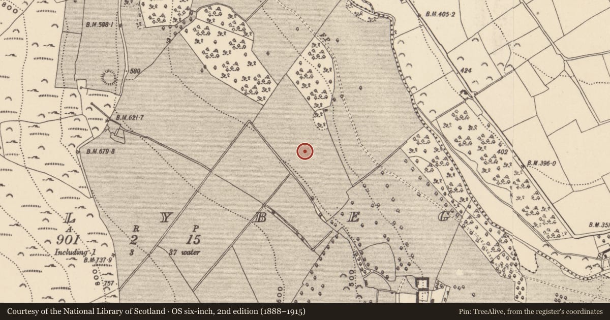 Ordnance Survey six-inch map, 2nd edition (1888–1915) covering the location of Moated site, Ballybeg, County Wicklow, with a pin at the register's coordinates