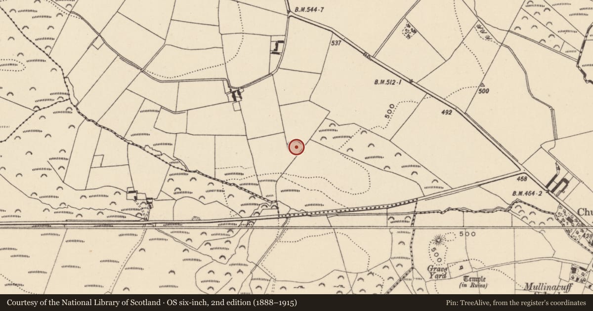 Ordnance Survey six-inch map, 2nd edition (1888–1915) covering the location of Ringfort - rath, Knockatomcoyle, County Wicklow, with a pin at the register's coordinates