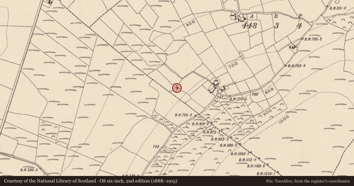 Ordnance Survey six-inch map, 2nd edition (1888–1915) covering the location of Enclosure, Farnees, County Wicklow, with a pin at the register's coordinates