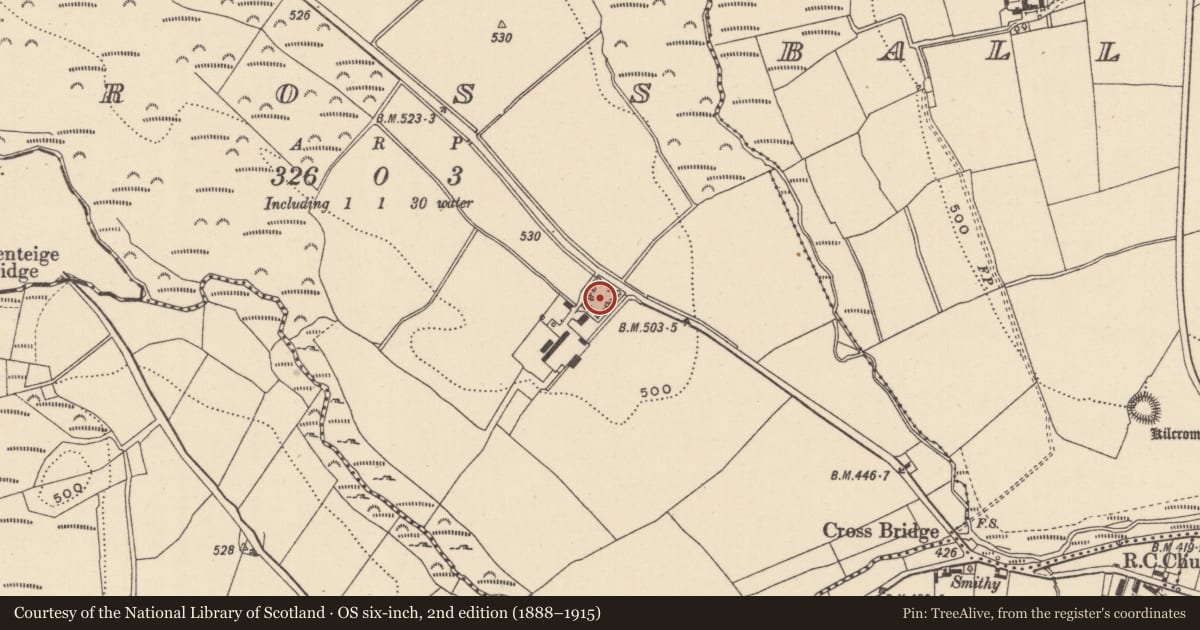 Ordnance Survey six-inch map, 2nd edition (1888–1915) covering the location of Ringfort - rath, Cross, County Wicklow, with a pin at the register's coordinates