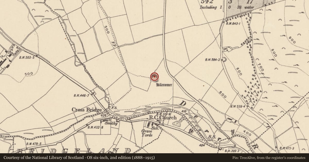 Ordnance Survey six-inch map, 2nd edition (1888–1915) covering the location of Hut site, Ballynamanoge, County Wicklow, with a pin at the register's coordinates