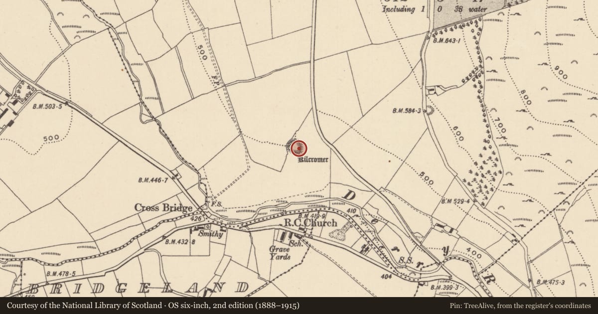 Ordnance Survey six-inch map, 2nd edition (1888–1915) covering the location of Hut site, Ballynamanoge, County Wicklow, with a pin at the register's coordinates