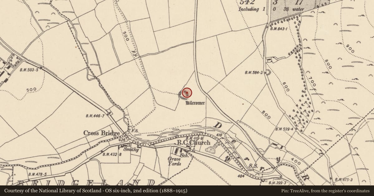 Ordnance Survey six-inch map, 2nd edition (1888–1915) covering the location of Hut site, Ballynamanoge, County Wicklow, with a pin at the register's coordinates