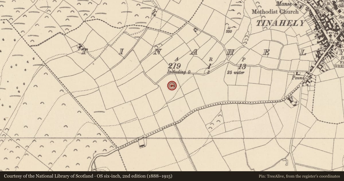 Ordnance Survey six-inch map, 2nd edition (1888–1915) covering the location of Ringfort - rath, Tinahely, County Wicklow, with a pin at the register's coordinates