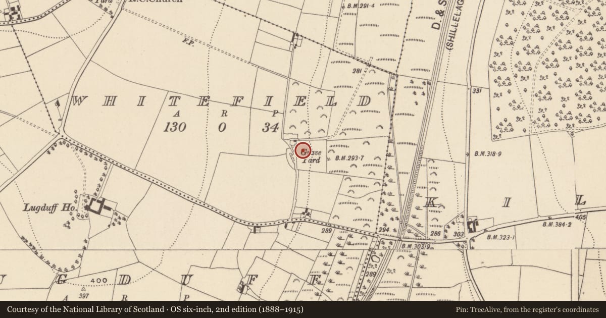 Ordnance Survey six-inch map, 2nd edition (1888–1915) covering the location of Church, Whitefield, County Wicklow, with a pin at the register's coordinates