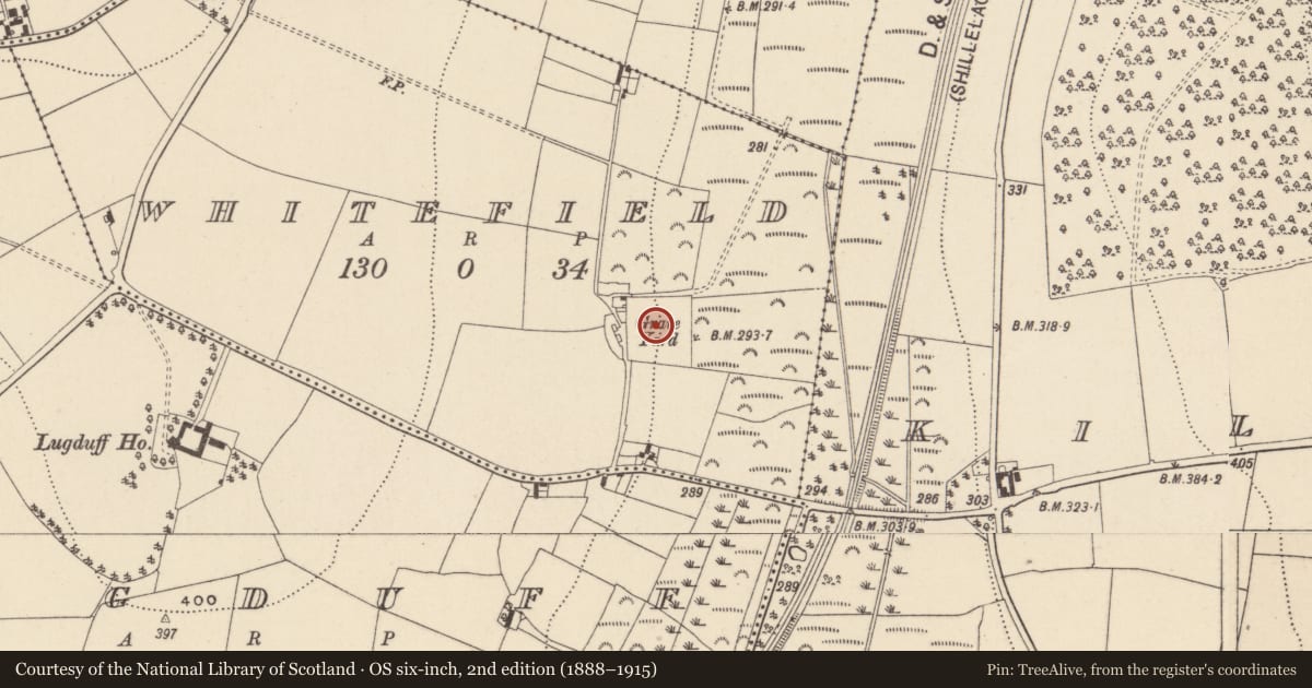 Ordnance Survey six-inch map, 2nd edition (1888–1915) covering the location of Graveyard, Whitefield, County Wicklow, with a pin at the register's coordinates