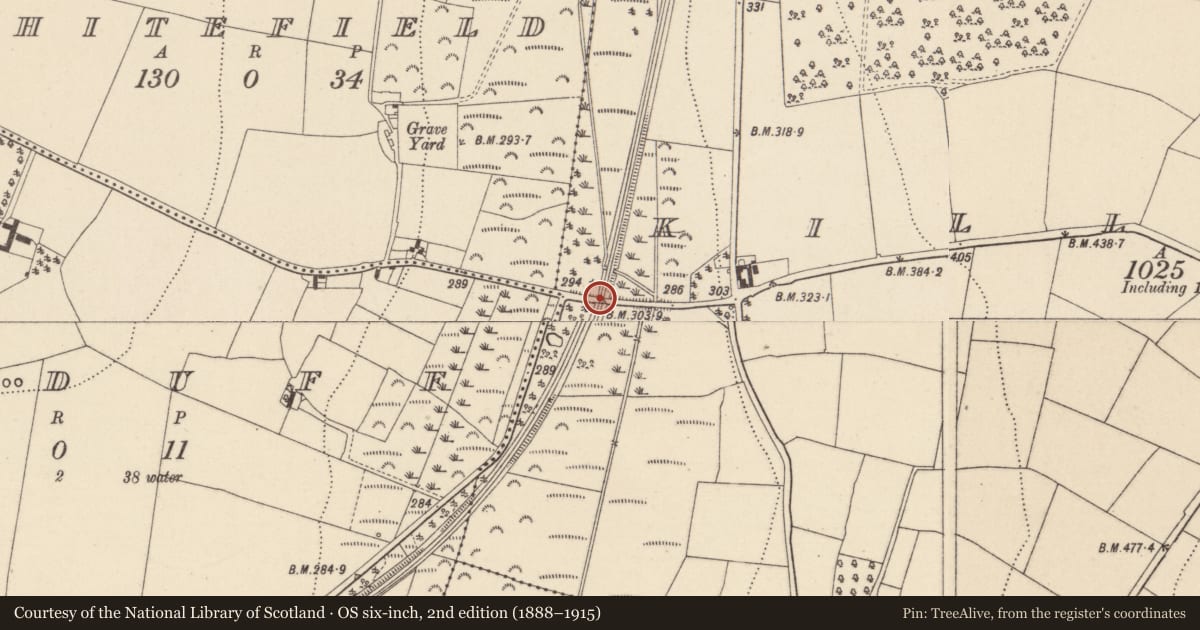 Ordnance Survey six-inch map, 2nd edition (1888–1915) covering the location of Road - unclassified togher, Killaveny, County Wicklow, with a pin at the register's coordinates