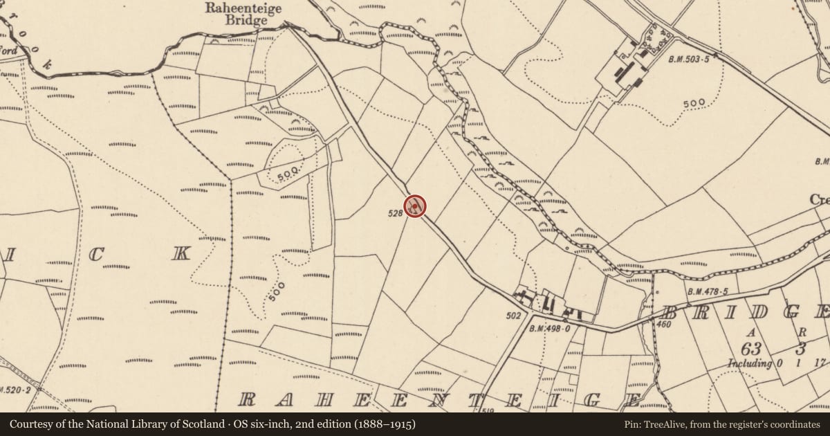 Ordnance Survey six-inch map, 2nd edition (1888–1915) covering the location of Ringfort - rath, Raheenteige, County Wicklow, with a pin at the register's coordinates