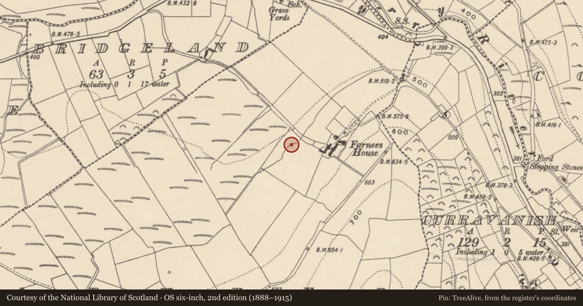 Ordnance Survey six-inch map, 2nd edition (1888–1915) covering the location of Designed landscape - tree-ring, Farnees, County Wicklow, with a pin at the register's coordinates