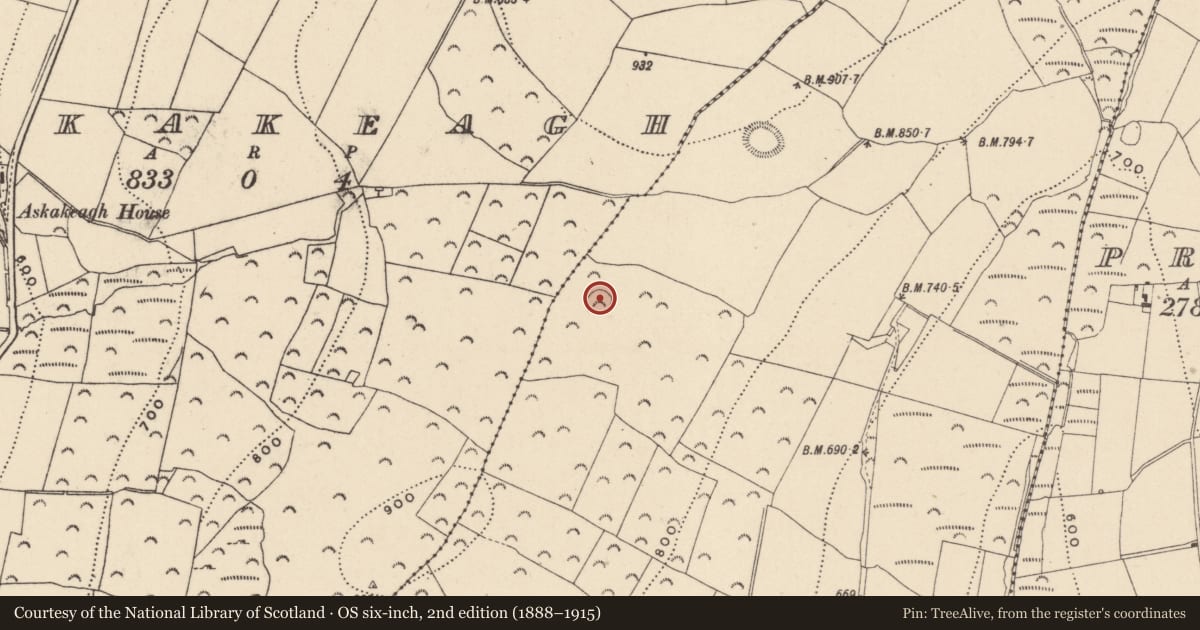 Ordnance Survey six-inch map, 2nd edition (1888–1915) covering the location of Ringfort - rath, Ballinglen, County Wicklow, with a pin at the register's coordinates