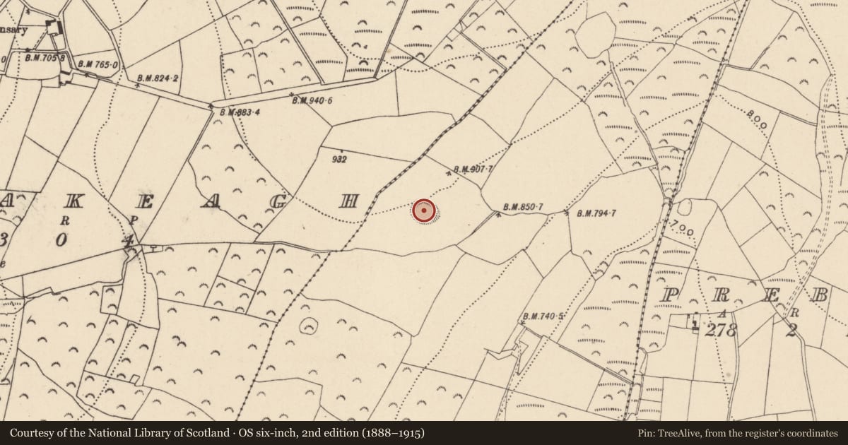 Ordnance Survey six-inch map, 2nd edition (1888–1915) covering the location of Ringfort - rath, Ballinglen, County Wicklow, with a pin at the register's coordinates
