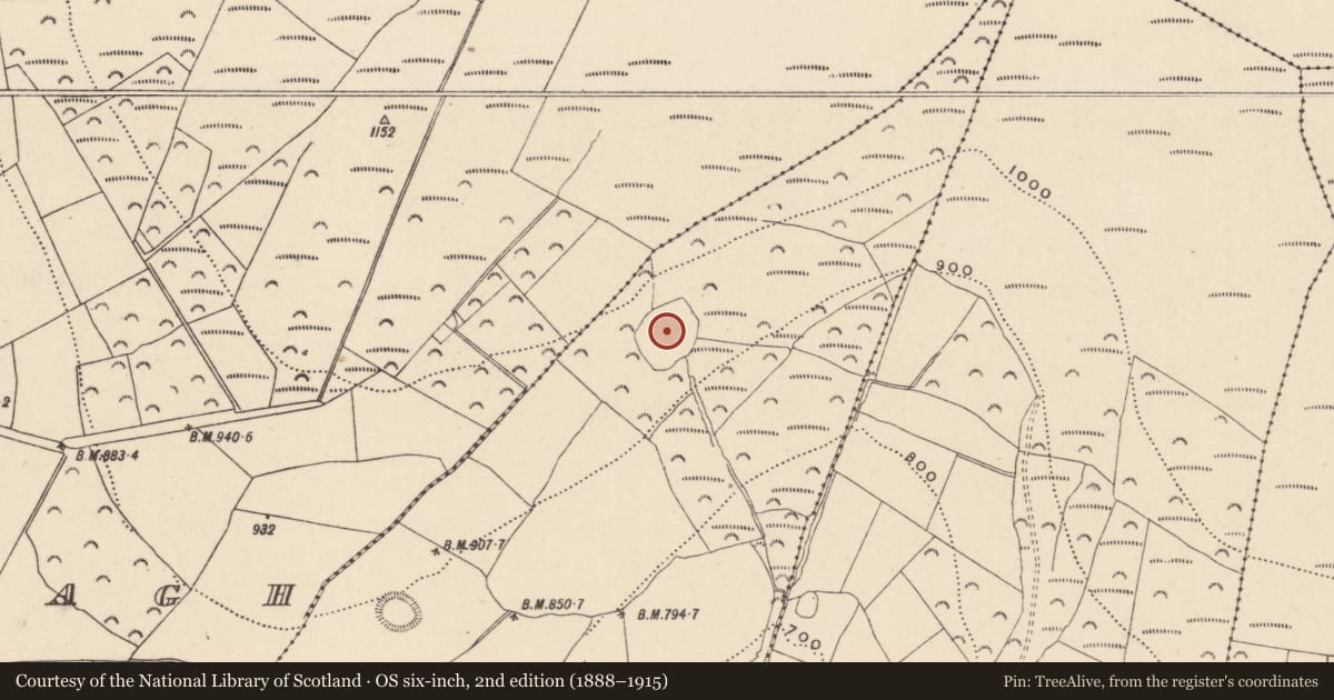 Ordnance Survey six-inch map, 2nd edition (1888–1915) covering the location of Enclosure, Ballinglen, County Wicklow, with a pin at the register's coordinates