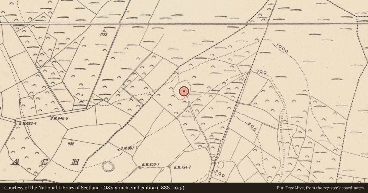 Ordnance Survey six-inch map, 2nd edition (1888–1915) covering the location of House - indeterminate date, Ballinglen, County Wicklow, with a pin at the register's coordinates