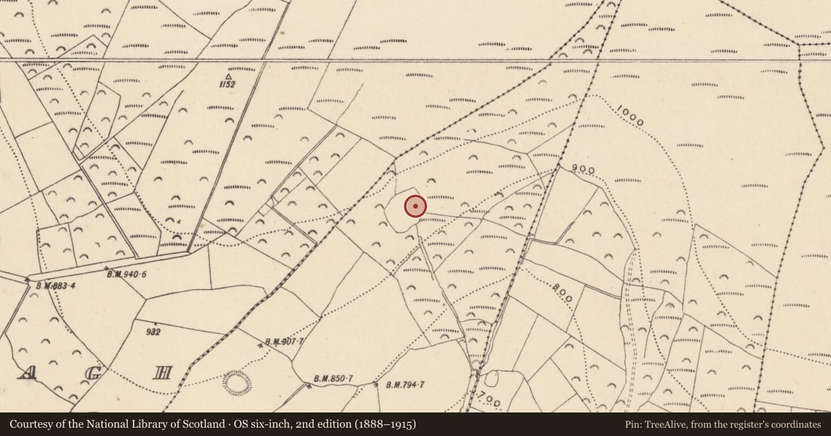 Ordnance Survey six-inch map, 2nd edition (1888–1915) covering the location of House - indeterminate date, Ballinglen, County Wicklow, with a pin at the register's coordinates
