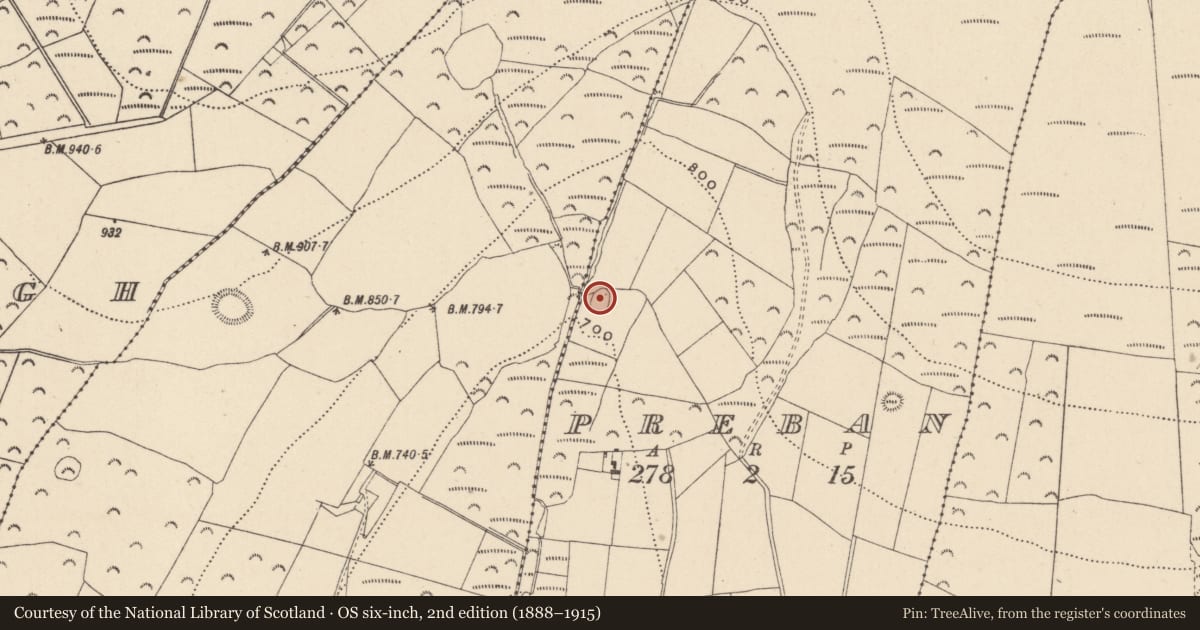 Ordnance Survey six-inch map, 2nd edition (1888–1915) covering the location of Enclosure, Preban, County Wicklow, with a pin at the register's coordinates
