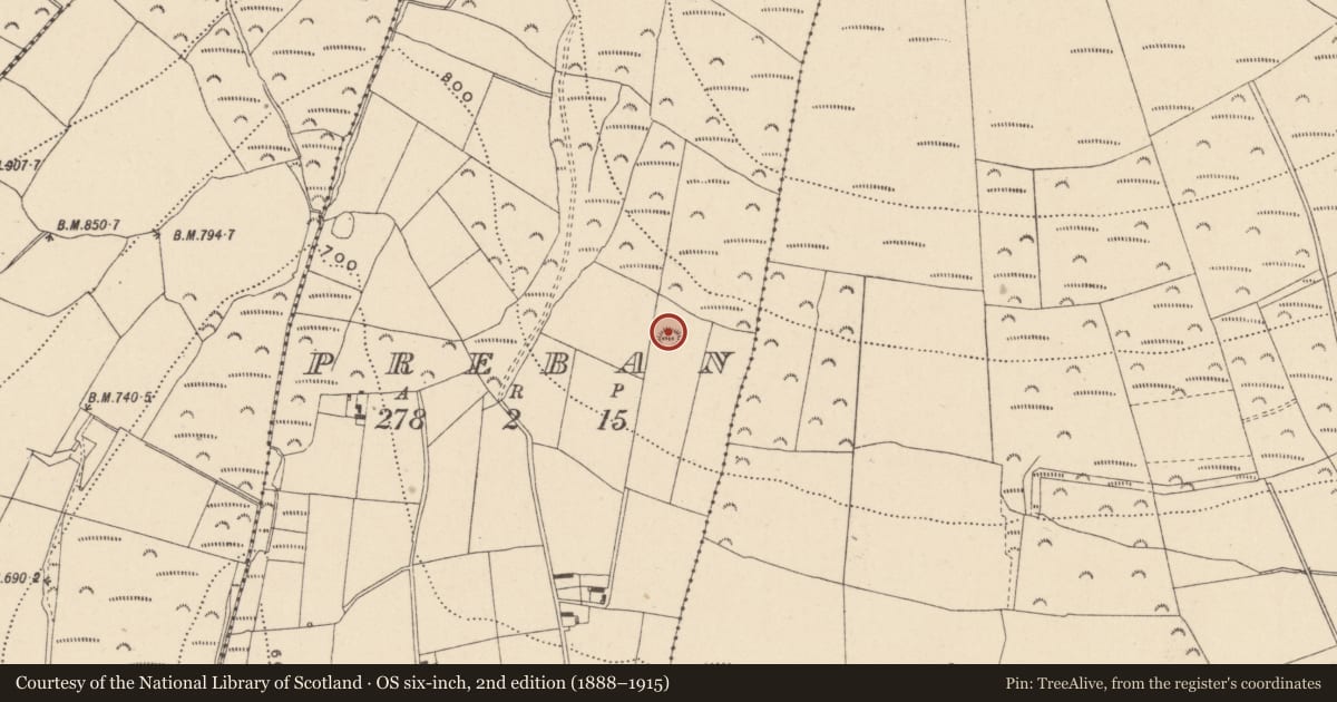 Ordnance Survey six-inch map, 2nd edition (1888–1915) covering the location of Hut site, Preban, County Wicklow, with a pin at the register's coordinates