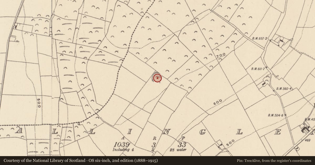Ordnance Survey six-inch map, 2nd edition (1888–1915) covering the location of Enclosure, Ballinglen, County Wicklow, with a pin at the register's coordinates