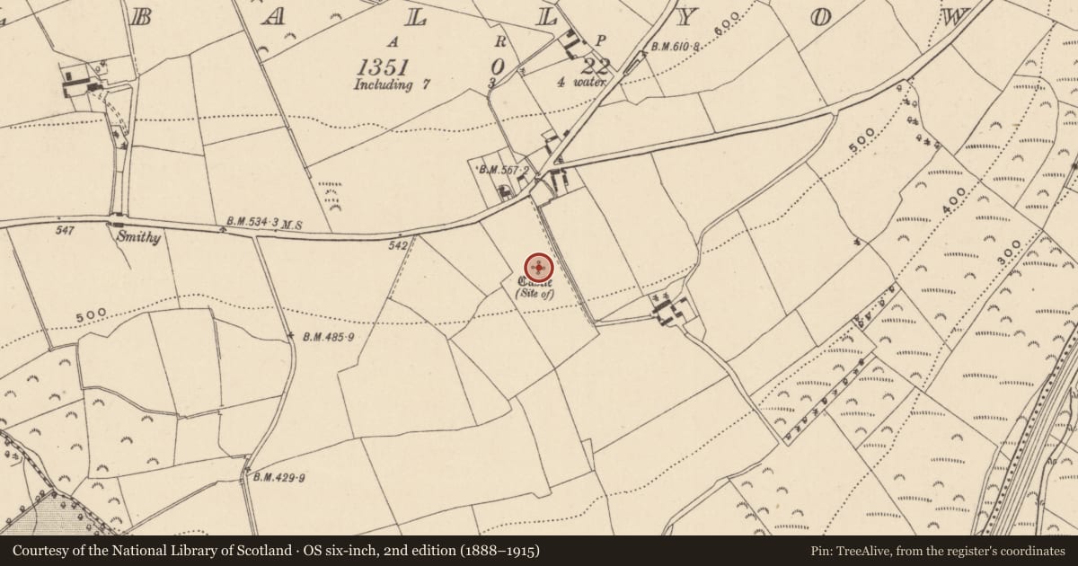 Ordnance Survey six-inch map, 2nd edition (1888–1915) covering the location of Castle - unclassified, Kilballyowen, County Wicklow, with a pin at the register's coordinates