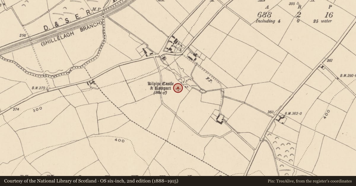 Ordnance Survey six-inch map, 2nd edition (1888–1915) covering the location of Moated site, Kilpipe, County Wicklow, with a pin at the register's coordinates