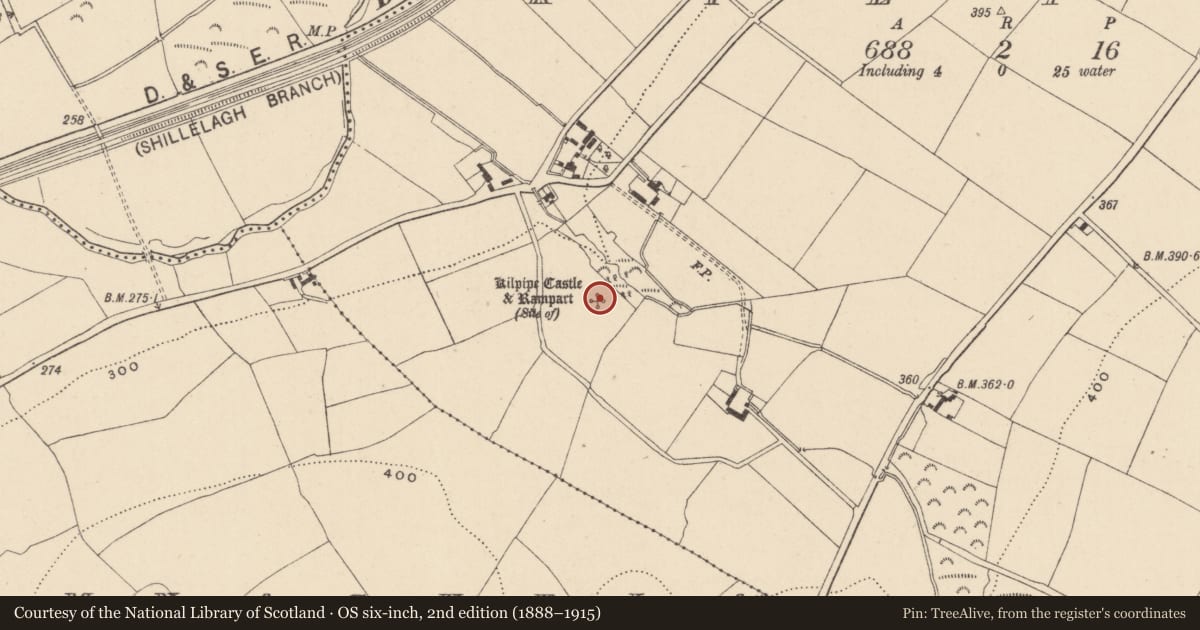 Ordnance Survey six-inch map, 2nd edition (1888–1915) covering the location of Castle - unclassified, Kilpipe, County Wicklow, with a pin at the register's coordinates