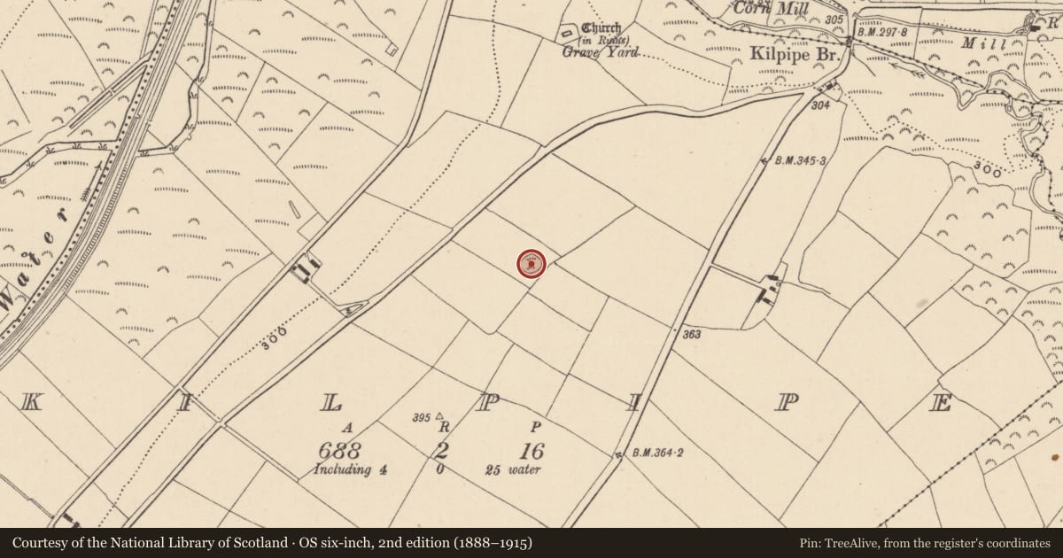 Ordnance Survey six-inch map, 2nd edition (1888–1915) covering the location of Ringfort - rath, Kilpipe, County Wicklow, with a pin at the register's coordinates