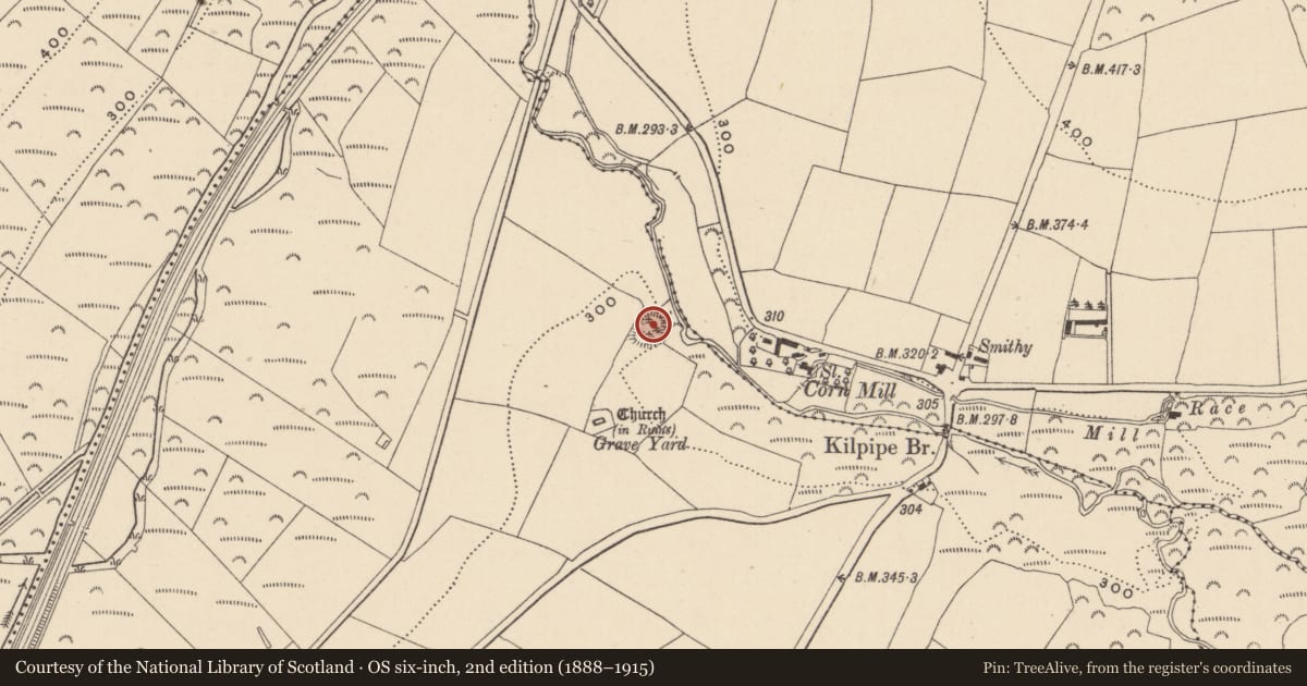 Ordnance Survey six-inch map, 2nd edition (1888–1915) covering the location of Castle - motte, Kilpipe, County Wicklow, with a pin at the register's coordinates