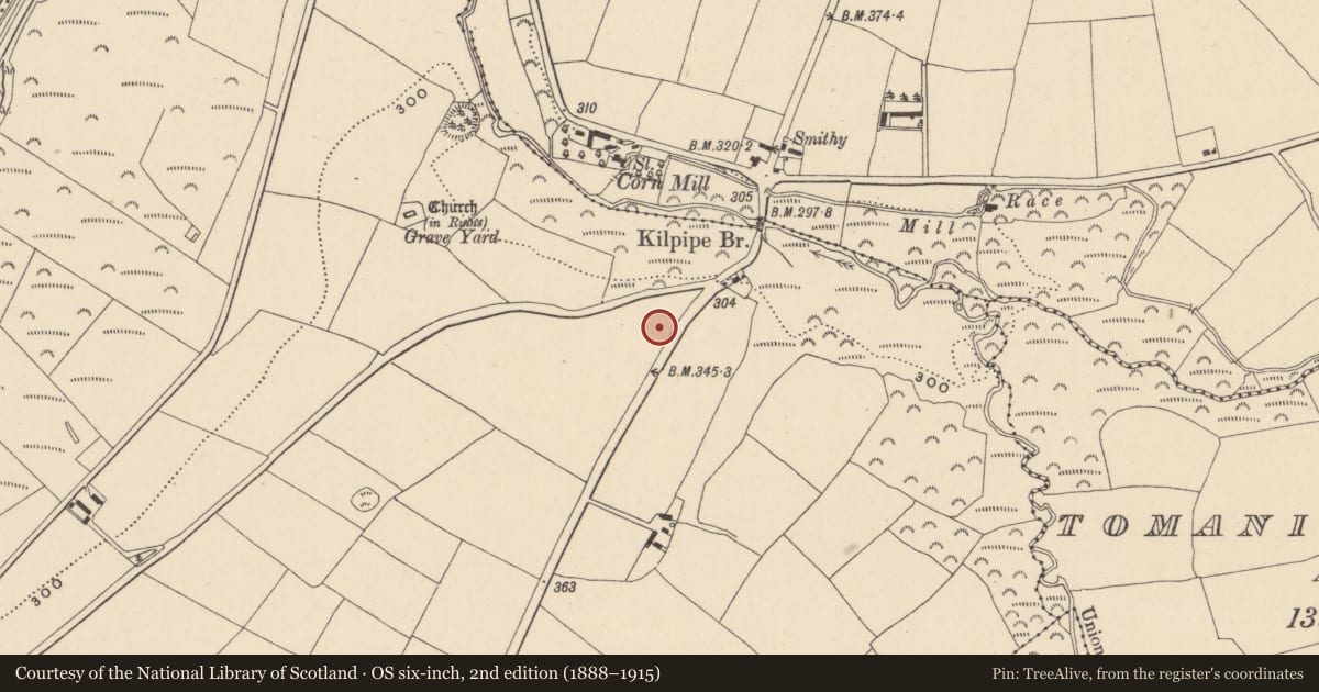 Ordnance Survey six-inch map, 2nd edition (1888–1915) covering the location of Enclosure, Kilpipe, County Wicklow, with a pin at the register's coordinates