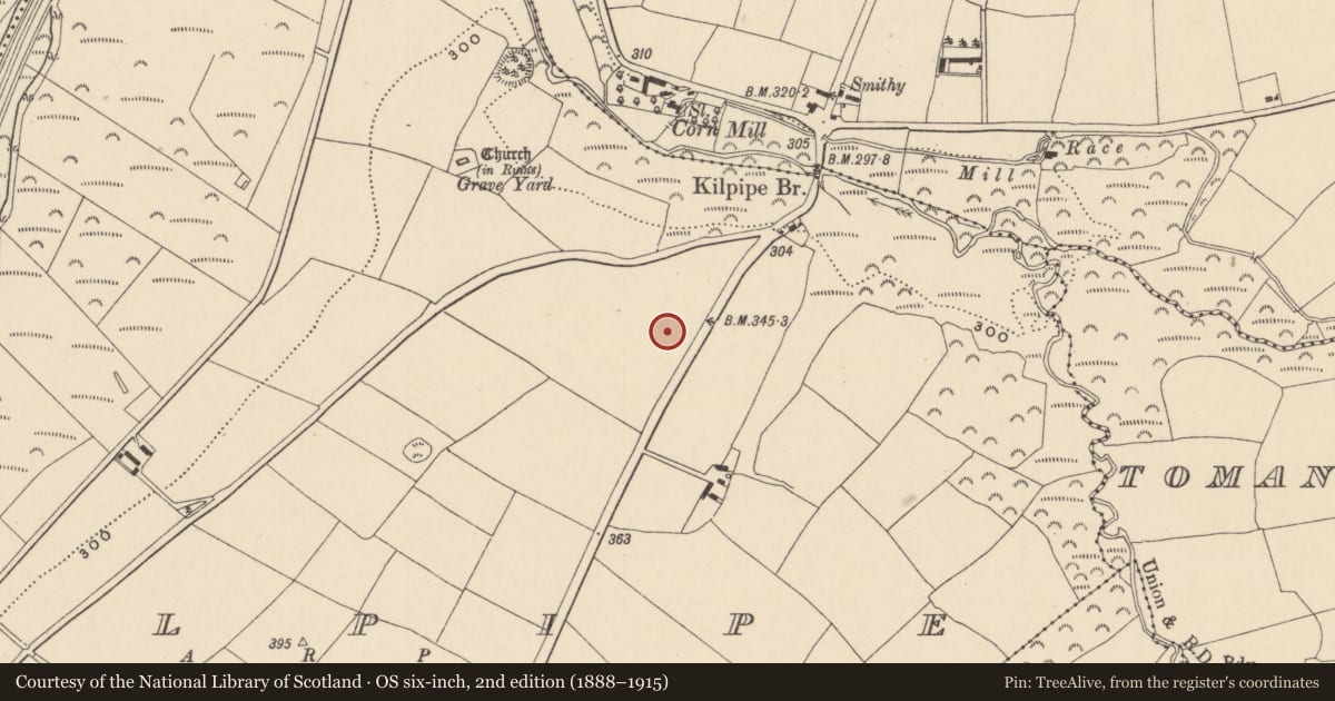 Ordnance Survey six-inch map, 2nd edition (1888–1915) covering the location of Ring-ditch, Kilpipe, County Wicklow, with a pin at the register's coordinates