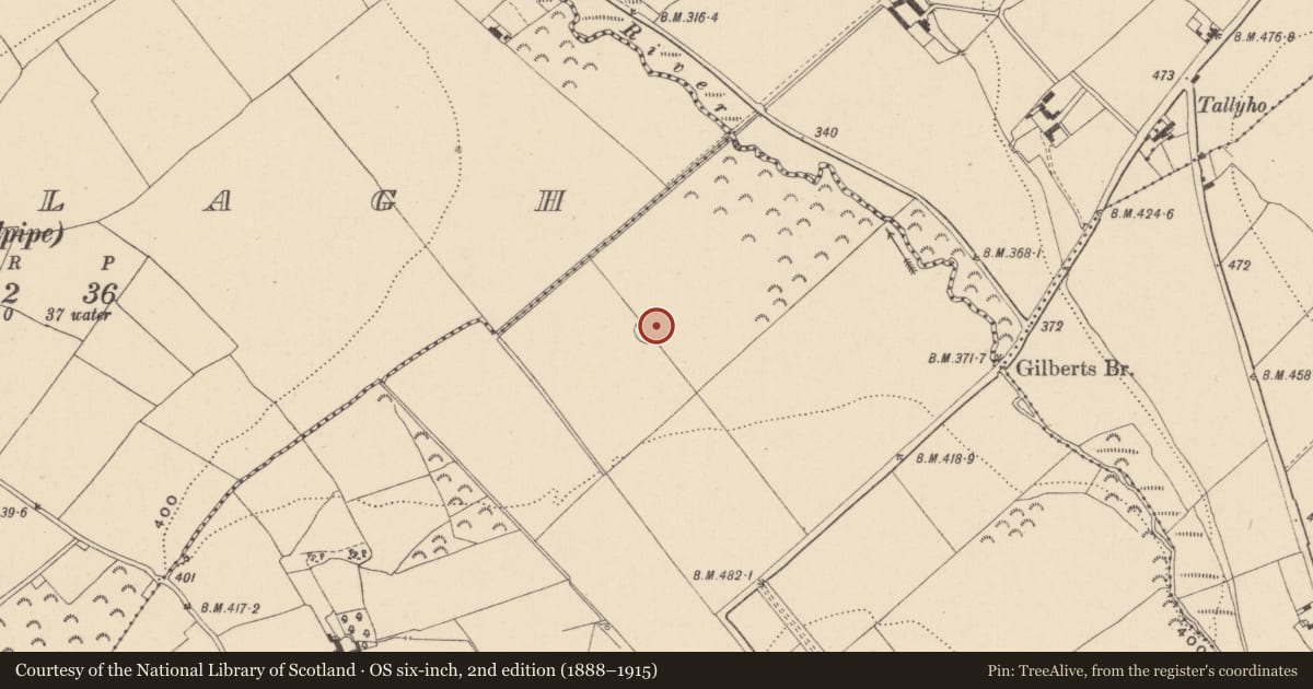 Ordnance Survey six-inch map, 2nd edition (1888–1915) covering the location of Ecclesiastical enclosure, Ballagh, County Wicklow, with a pin at the register's coordinates