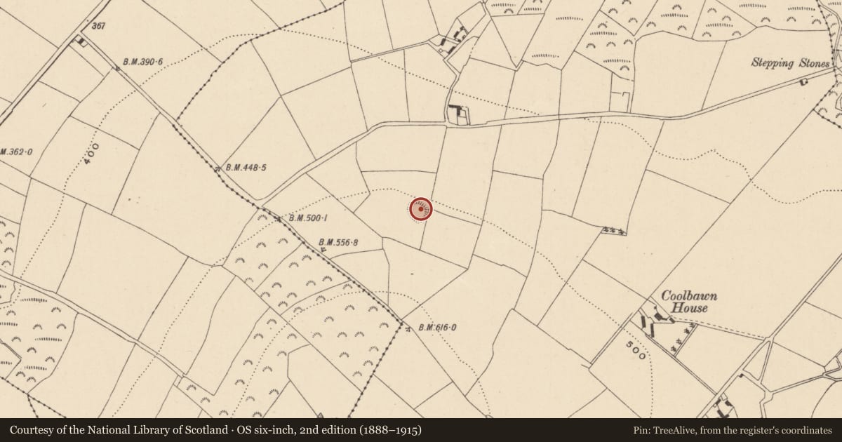 Ordnance Survey six-inch map, 2nd edition (1888–1915) covering the location of Ringfort - rath, Coolbawn Or Coolballintaggart, County Wicklow, with a pin at the register's coordinates