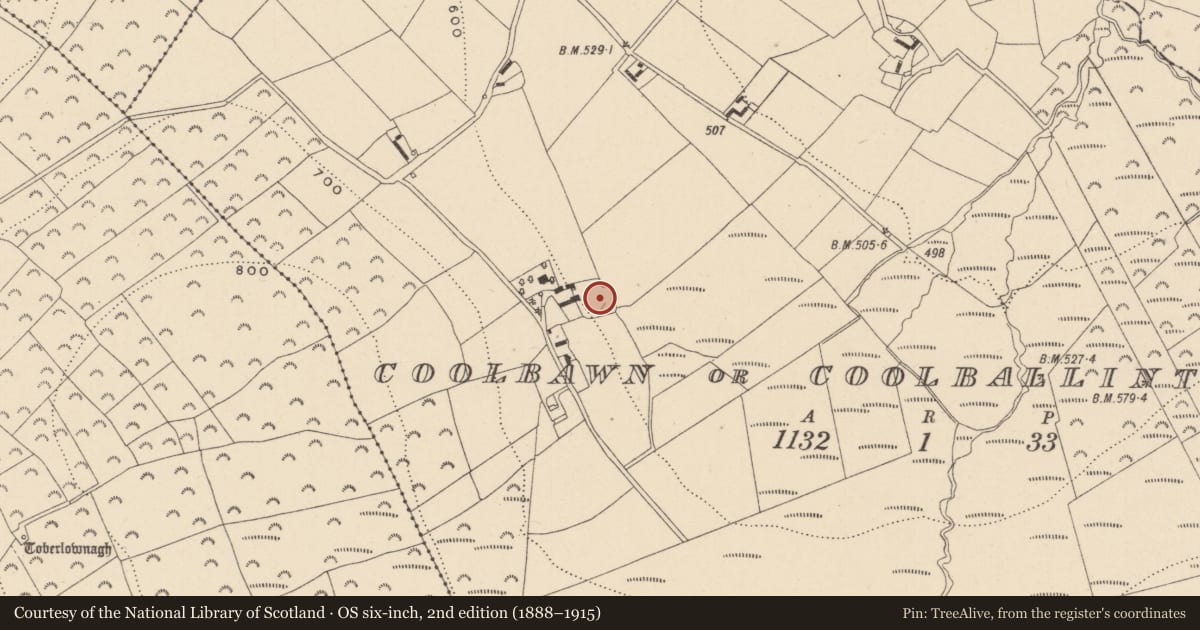 Ordnance Survey six-inch map, 2nd edition (1888–1915) covering the location of Enclosure, Coolbawn Or Coolballintaggart, County Wicklow, with a pin at the register's coordinates