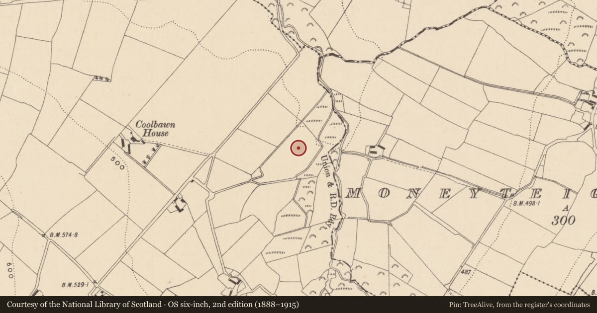 Ordnance Survey six-inch map, 2nd edition (1888–1915) covering the location of Enclosure, Coolbawn Or Coolballintaggart, County Wicklow, with a pin at the register's coordinates