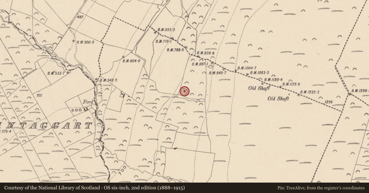 Ordnance Survey six-inch map, 2nd edition (1888–1915) covering the location of Ringfort - rath, Moneyteige South, County Wicklow, with a pin at the register's coordinates