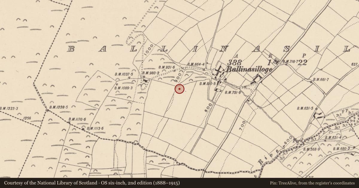 Ordnance Survey six-inch map, 2nd edition (1888–1915) covering the location of Enclosure, Ballinasilloge, County Wicklow, with a pin at the register's coordinates